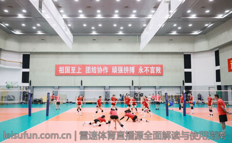 雷速体育直播源全面解读与使用指南